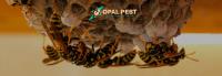 Opal Pest Control Adelaide image 3